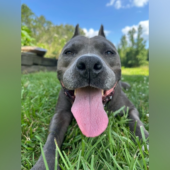 LIVE SHOW! - Picture 13 of 16